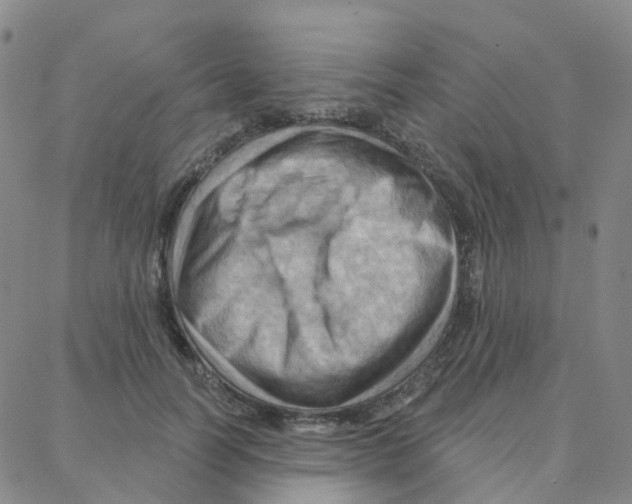 X0000088380746200706191307