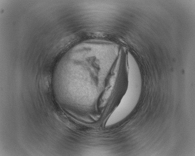 X0000088380747200706191307