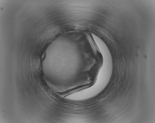 X0000088380748200706191307