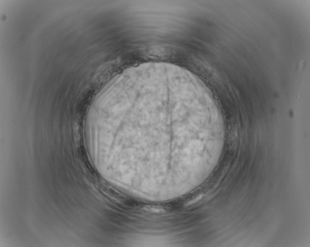 X0000088380749200706191307