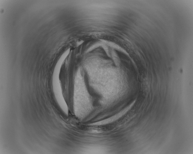 X0000088380750200706191307