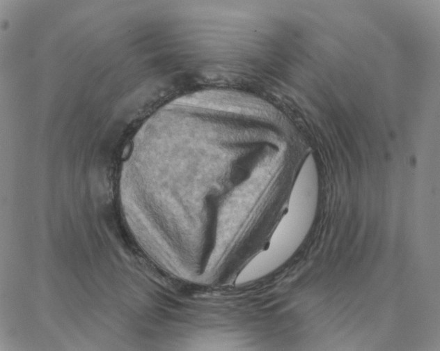 X0000088380751200706191307