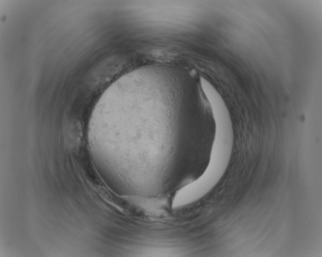 X0000088380752200706191307