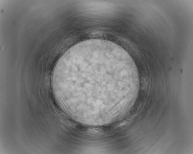 X0000088380753200706191307