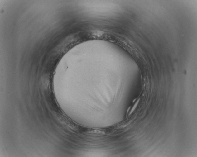 X0000088380754200706191307