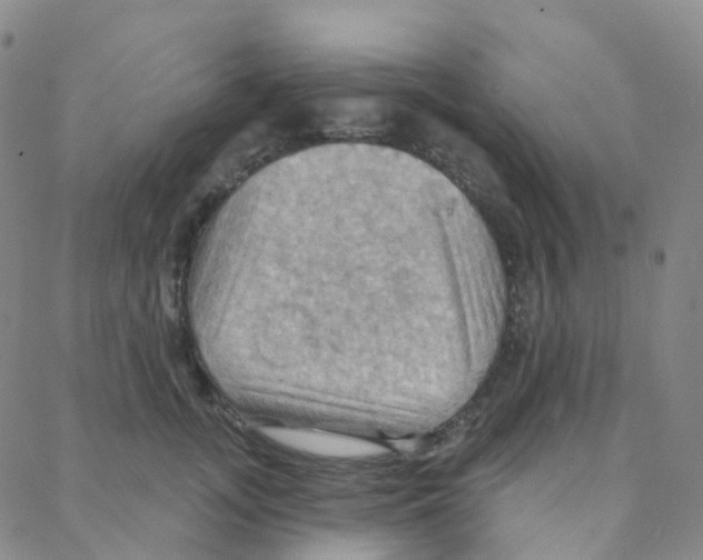 X0000088380755200706191307