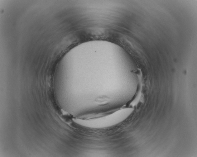 X0000088380756200706191307