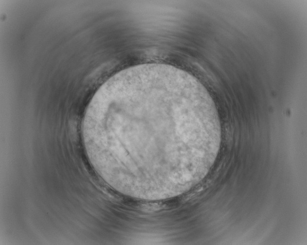 X0000088380757200706191307