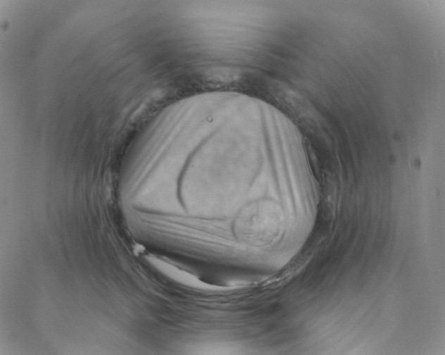 X0000088380758200706191308