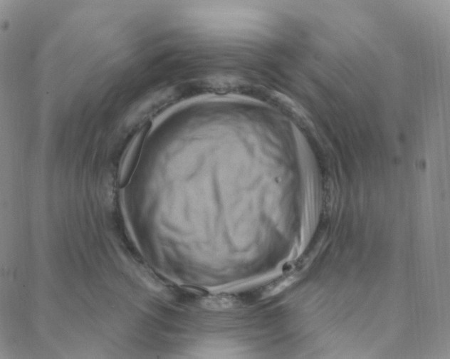 X0000088380762200706191308