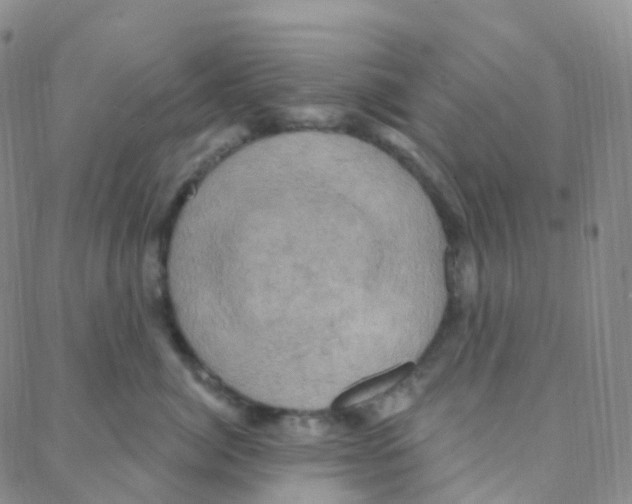 X0000088380764200706191308