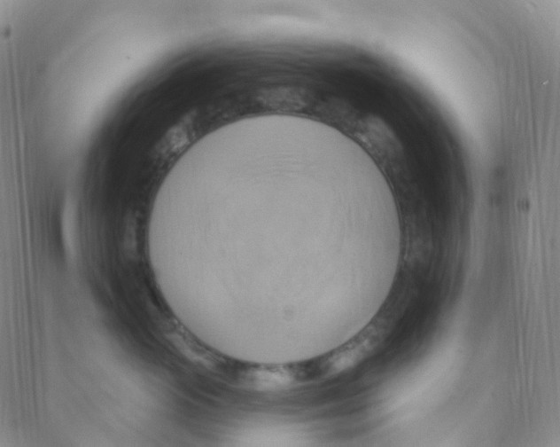 X0000088380765200706191308