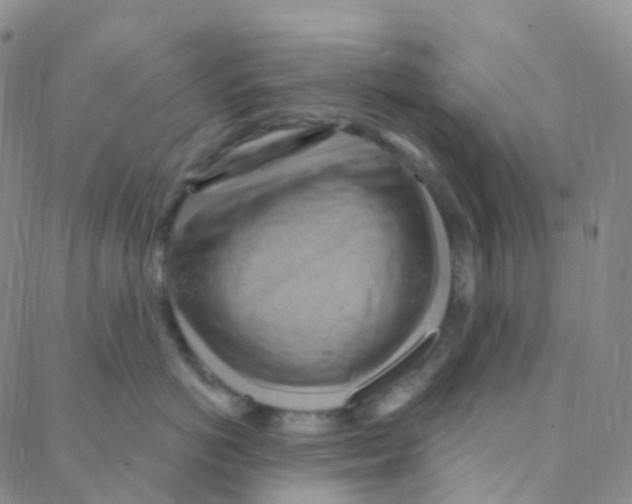 X0000088380766200706191308