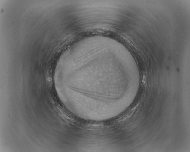 X0000088380771200706191307