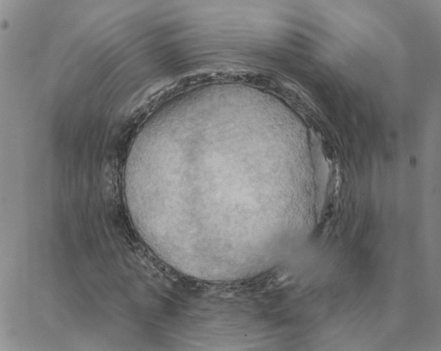 X0000088380773200706191307