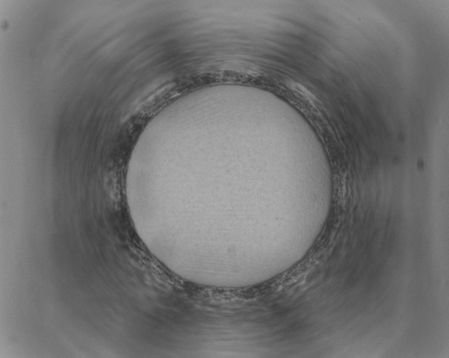 X0000088380774200706191307