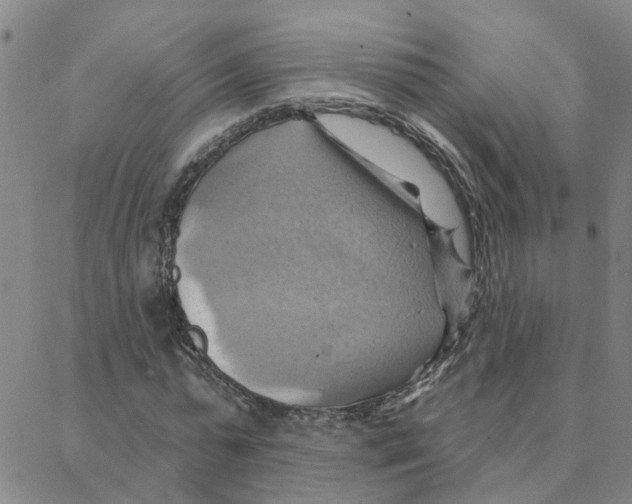 X0000088380775200706191307