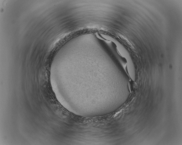 X0000088380776200706191307