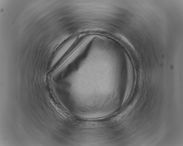 X0000088380777200706191307