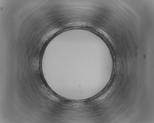 X0000088380778200706191307