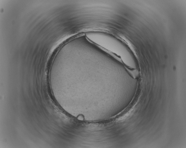 X0000088380779200706191307