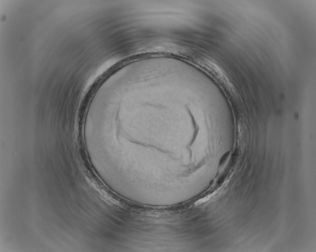 X0000088380780200706191307