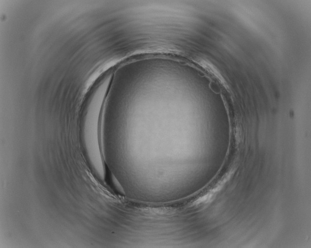 X0000088380781200706191307