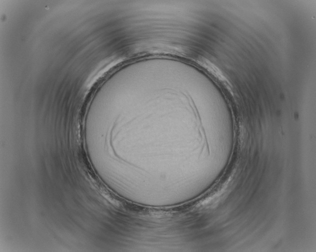 X0000088380782200706191307