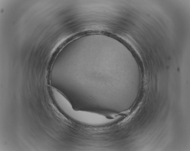 X0000088380783200706191307