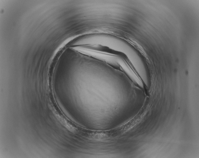 X0000088380784200706191307