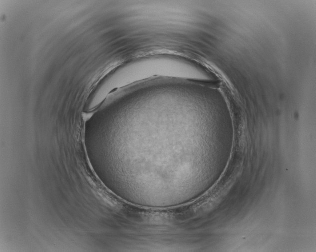 X0000088380785200706191307