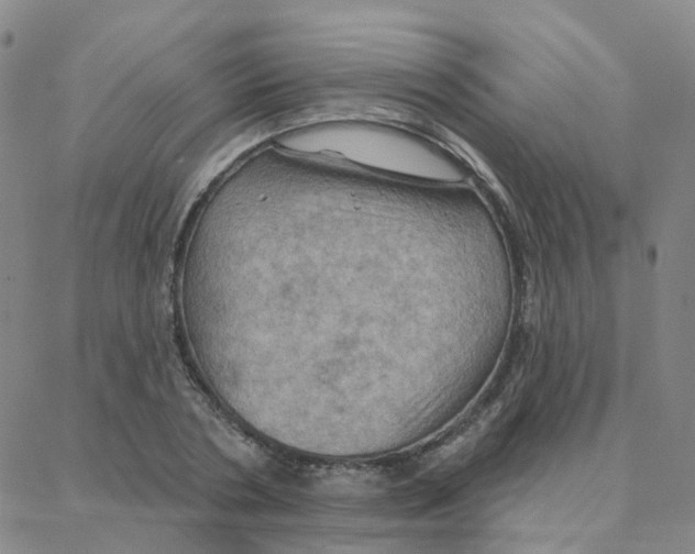 X0000088380786200706191307