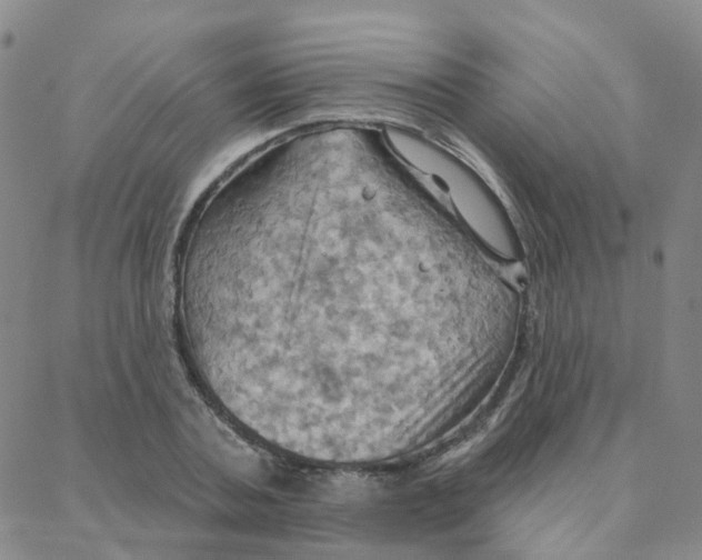 X0000088380787200706191307