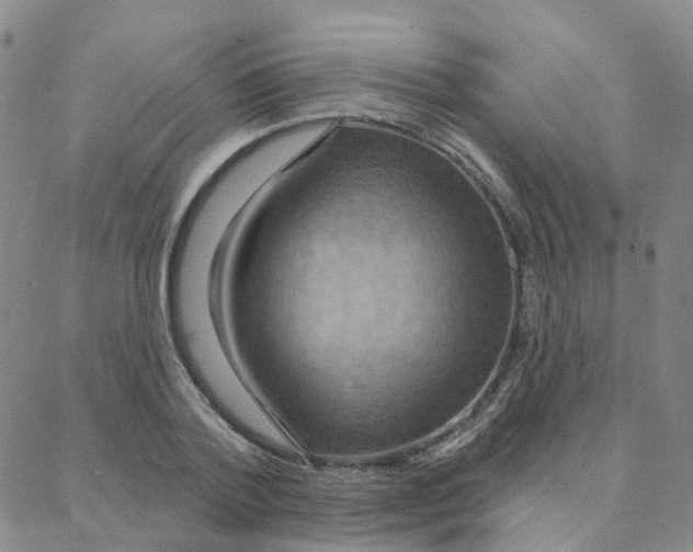 X0000088380788200706191307