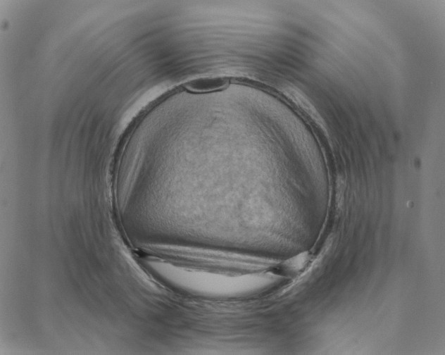 X0000088380789200706191307