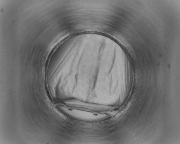 X0000088380790200706191307