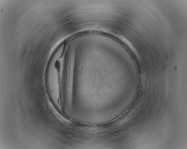 X0000088380791200706191307