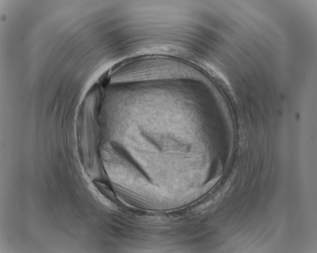 X0000088380792200706191307