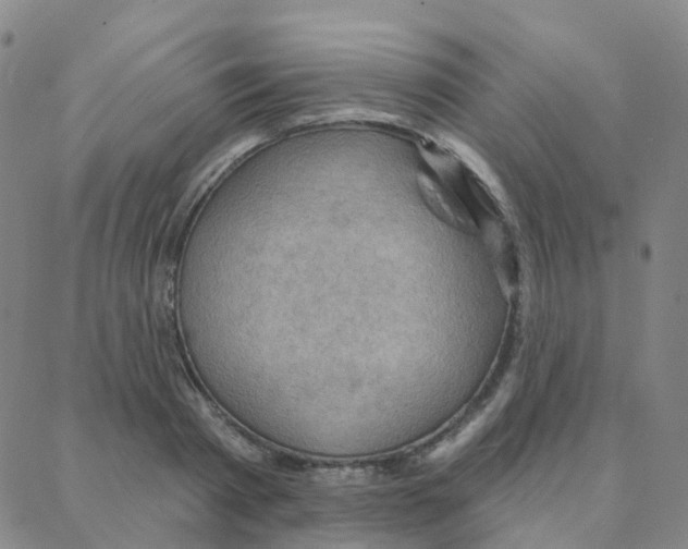 X0000088380793200706191307