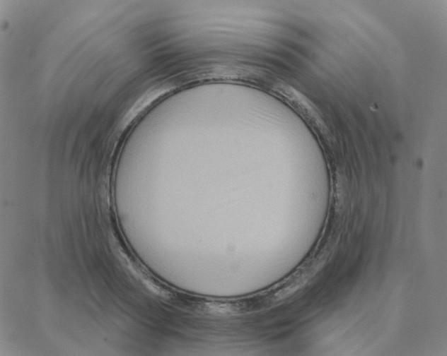 X0000088380794200706191307