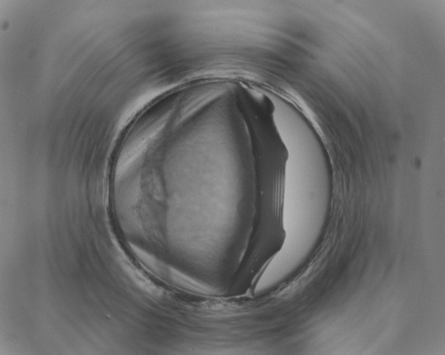 X0000088380795200706191306