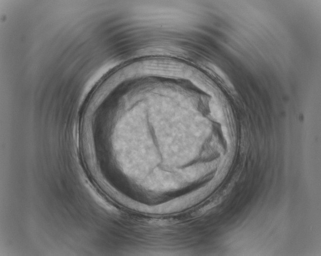 X0000088380796200706191306