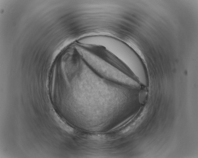 X0000088380797200706191306