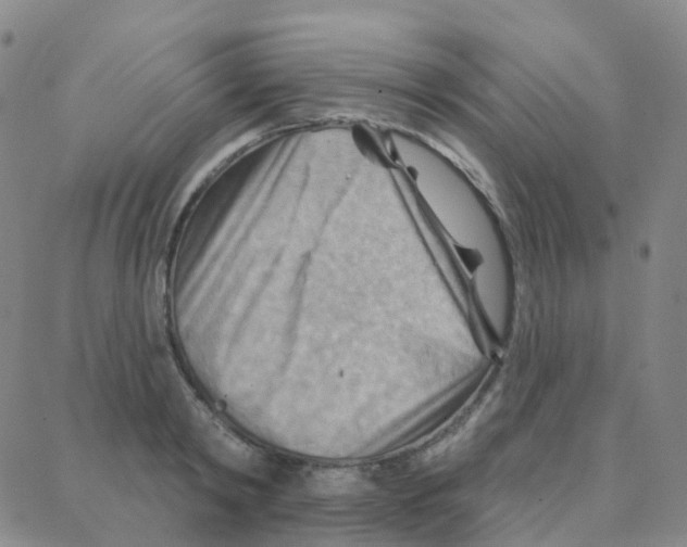 X0000088380798200706191306