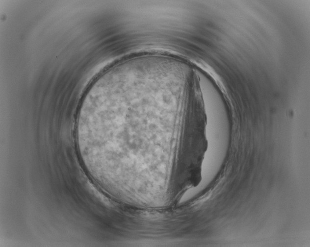 X0000088380799200706191306