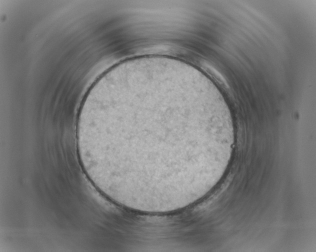 X0000088380800200706191306