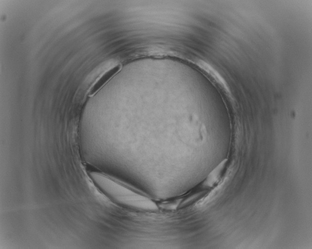 X0000088380801200706191306