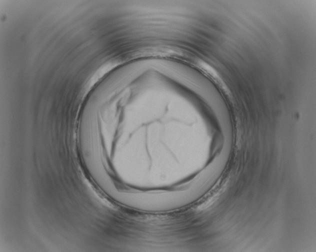 X0000088380802200706191306