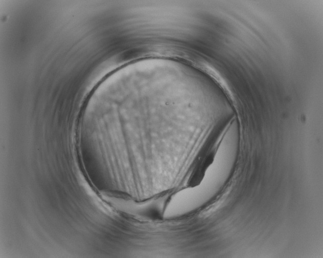 X0000088380803200706191306