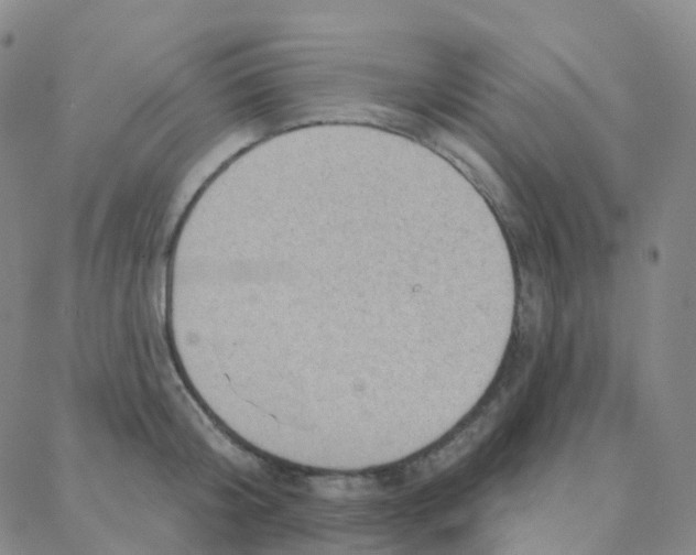 X0000088380804200706191306